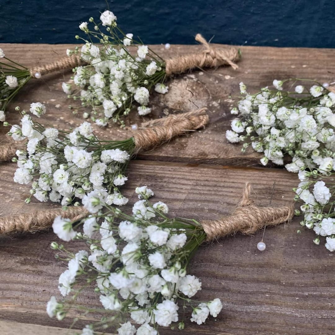 Gypsophila buttonholes 😍 

#hwattsflorist #plymouthflorist #beautifulflowers #smallbusiness #supportlocal #weddingflowers #weddings #devon #florist #beautiful #inlove #plymouth #happyplace #bigday #gypsophila #buttonholes #rusticflowers #rusticwedding