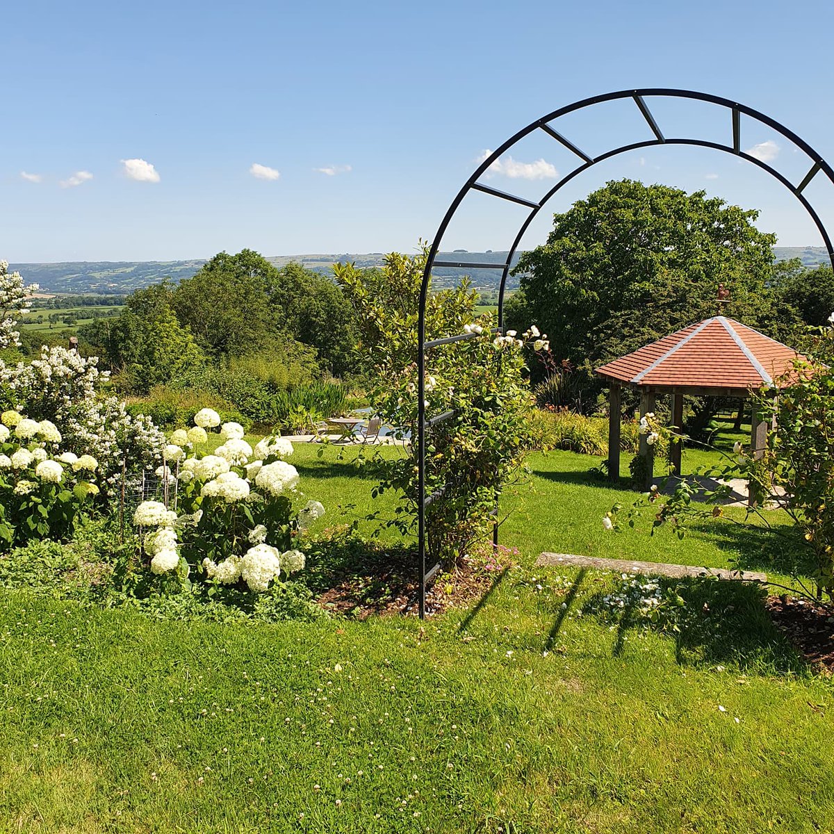 secretgardenweb's tweet photo. Such a stunning #somerset garden, looking out towards #wells and the #cheddargorge ๐
#wildlifepond #waterlilies #sweetpeas #greenhouse #greenhousegardening #figtree #ficuscarica #lemontree #growinglemons #hydrangeaannabelle #rosearch #gazebo #gazebogardens #growingseason https://t.co/LZDDce8dyt