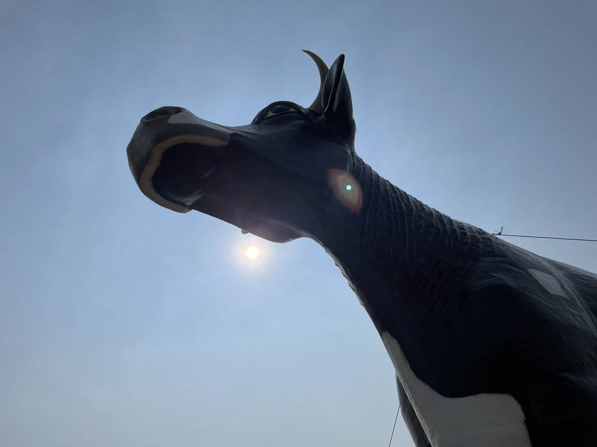 Jody Norstedt tweet media