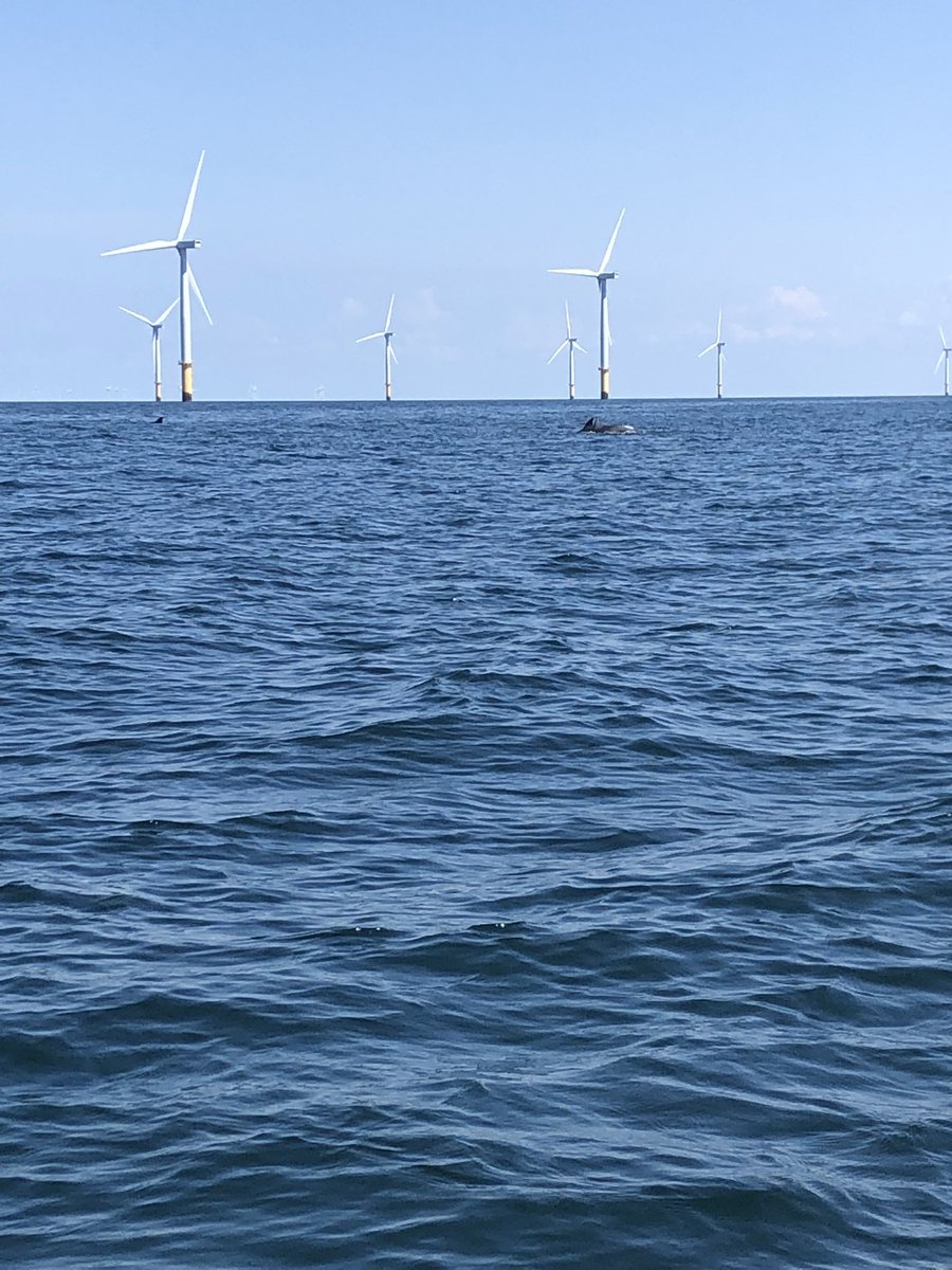 mark radders tweet media