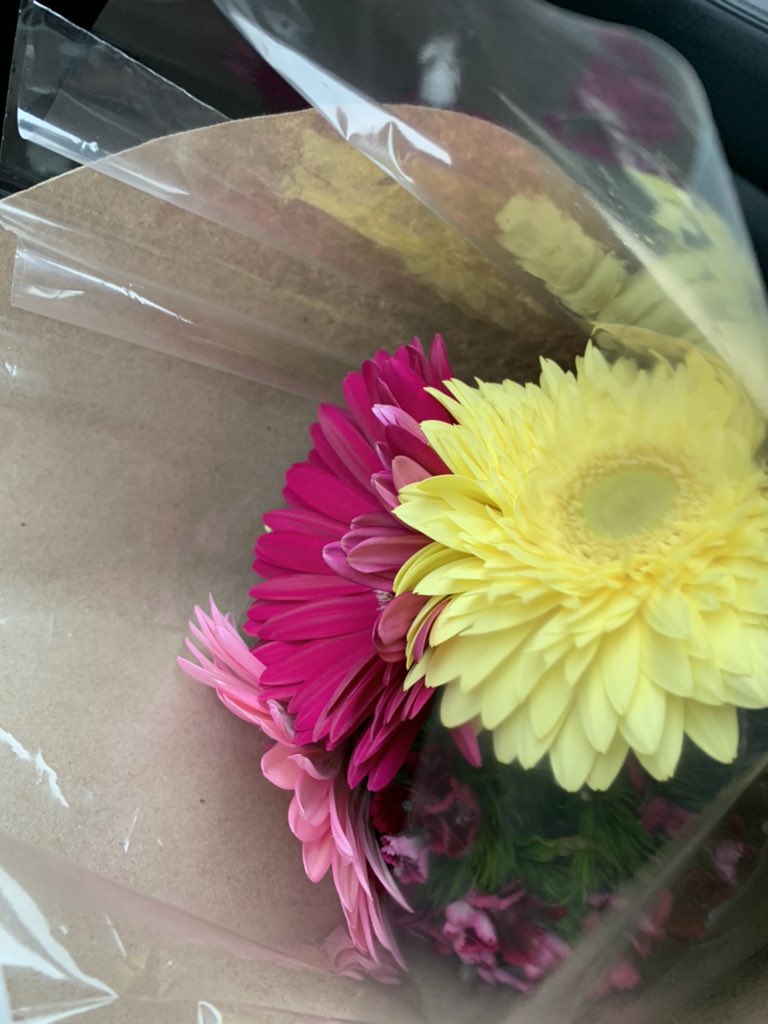 SwiftTime4's tweet image. Happy Monday! 🌸 
Here’s a little bit of colour to brighten up this cloudy and smoky day here in #yeg