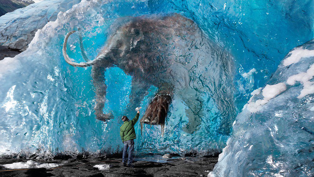 The northern white rhino, woolly mammoth and other de-extinction projects raise tough questions about our role in the natural world. Should we be making animals in labs to save Earth’s biodiversity from ourselves? Should scientists be playing God?