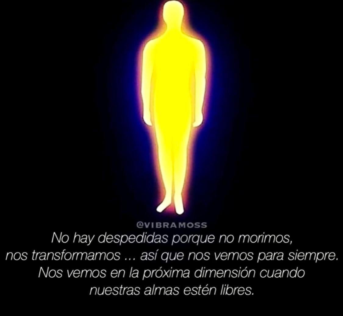 erikzamudio's tweet image. Solo no me olvides.