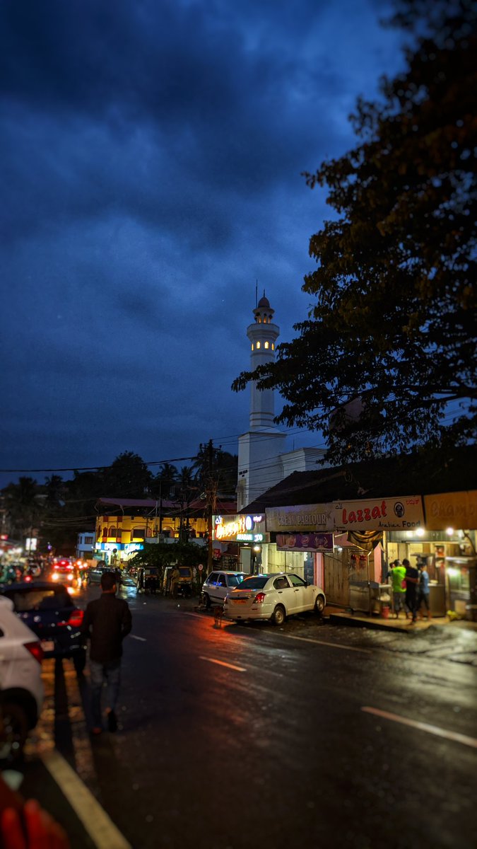 manncyclopedia's tweet image. Rainy evening