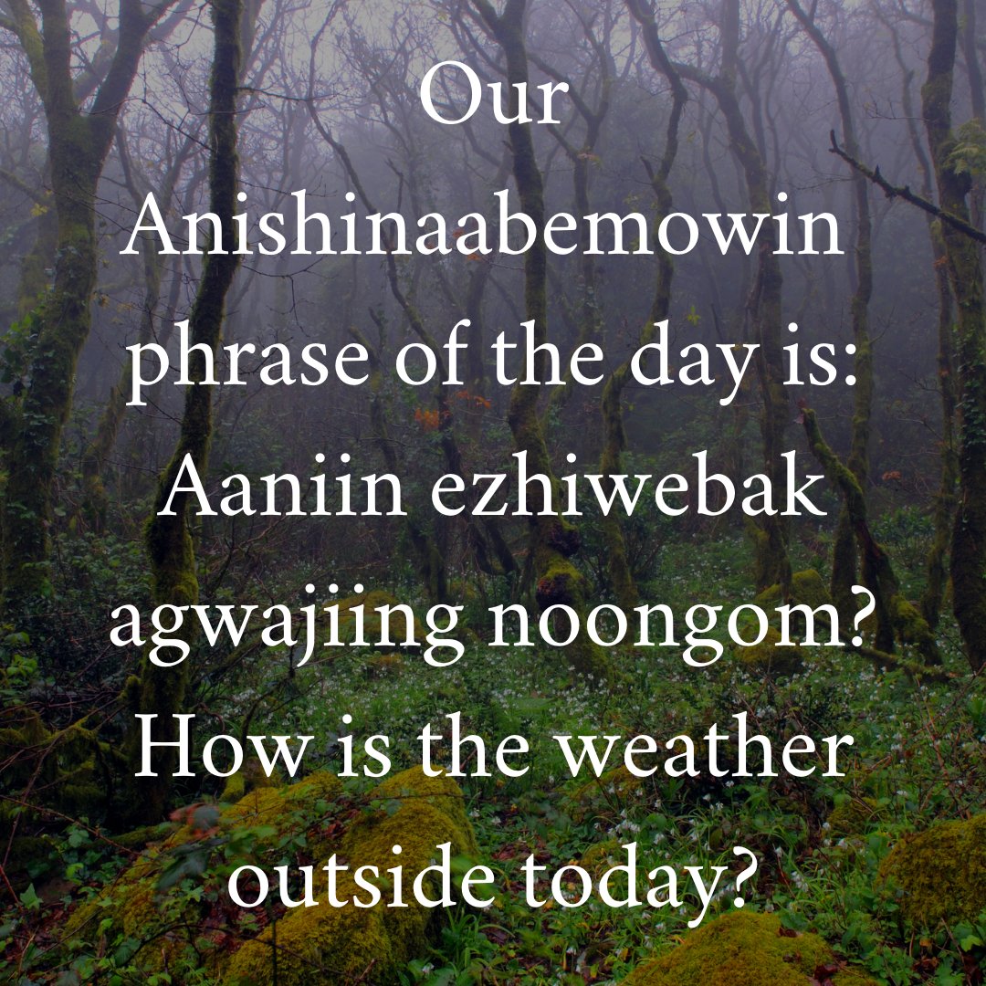 #Anishinaabemowin #Ojibwe