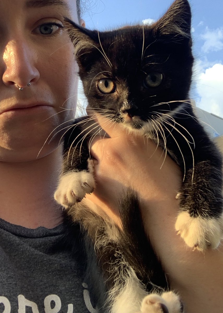 Carmella Brown tweet media