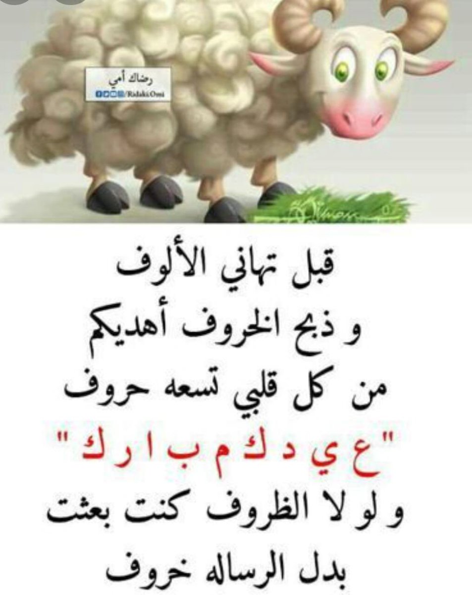 #عيد_الاضحي بنات كل وحده تنتبه لخروفها لا يذبحونه بالغلط 🤭😉
َ