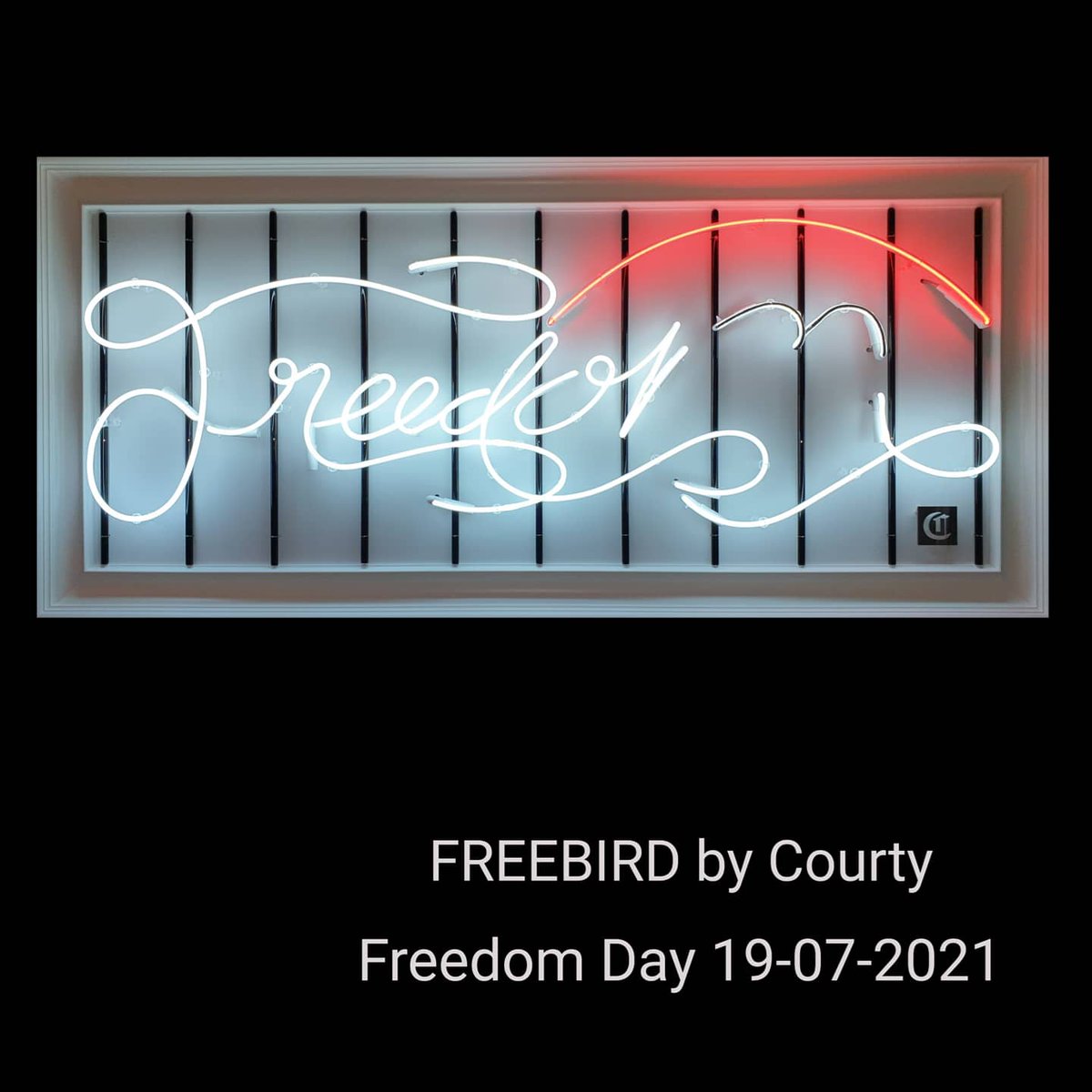 Creative_Neon's tweet photo. Happy Freedom Day Folks!

Freebird by Courty

#courtyneonart #neonart #NEON #neonartist #newart #FreedomDay 
@WISHBONE_ART https://t.co/hYuCEKrnN4