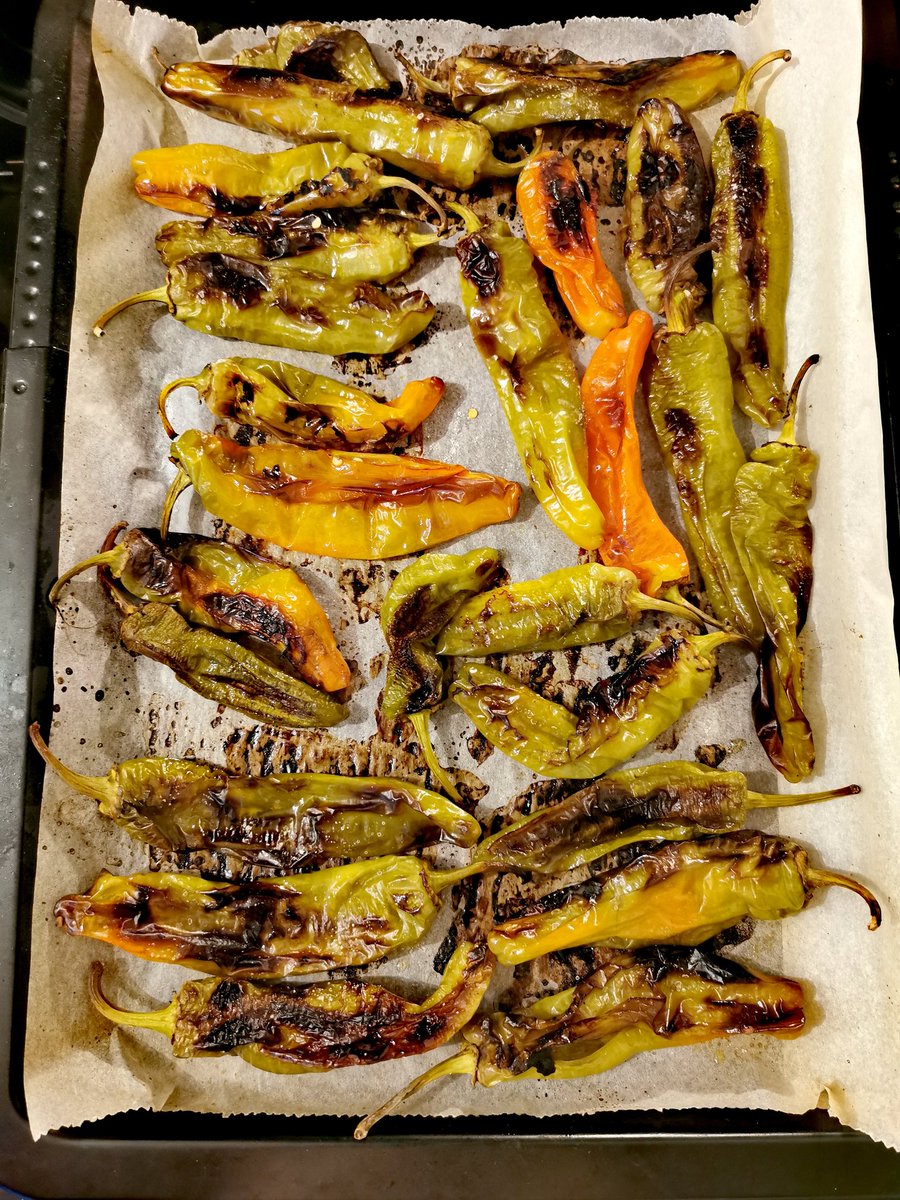 OsservaMy's tweet image. Da leccarsi i baffi 😋
#friggitelli