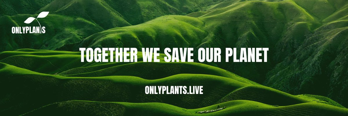 onlyplantsbsc's tweet photo. OnlyPlants wants to save our planet and needs YOU to help us to achieve that goal. Join our airdrop and presale whitelist competition here 

https://t.co/0lWUEpO9DE

#bsc #Binance #crypto #airdrop #presale #whitelist https://t.co/EuwCxcewnW