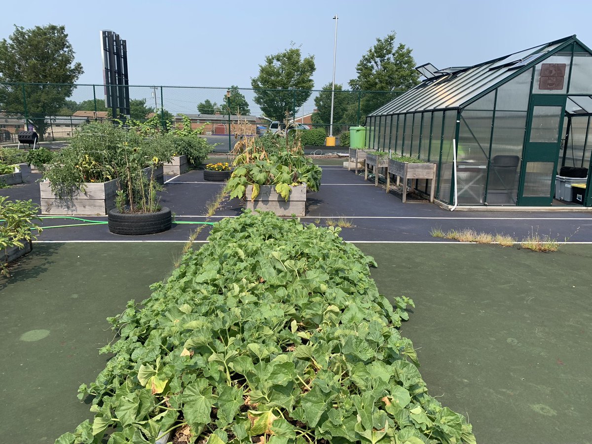 Have you ever seen a tennis court transformed into a garden? Well it’s a first for me. Tonight on <a href="/nbc4i/">NBC4 Columbus</a> learn what the big plans are at <a href="/ReynSchools/">Reynoldsburg City Schools</a> to grow this place and what’s making it possible!