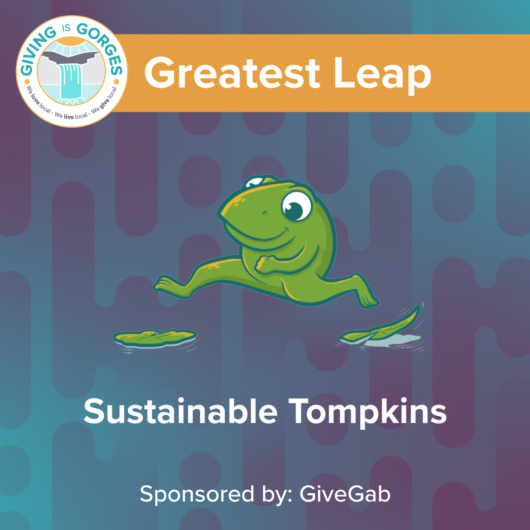 GivingIsGorges's tweet photo. Join us in congratulating Sustainable Tompkins, winner of the Greatest Leap prize! This was awarded to the organization with the greatest increase in overall dollars raised online from #GivingisGorges 2020 to 2021. This prize was sponsored by GiveGab. 🤩🌟🐸💕👍 https://t.co/2QaYnLfbZR