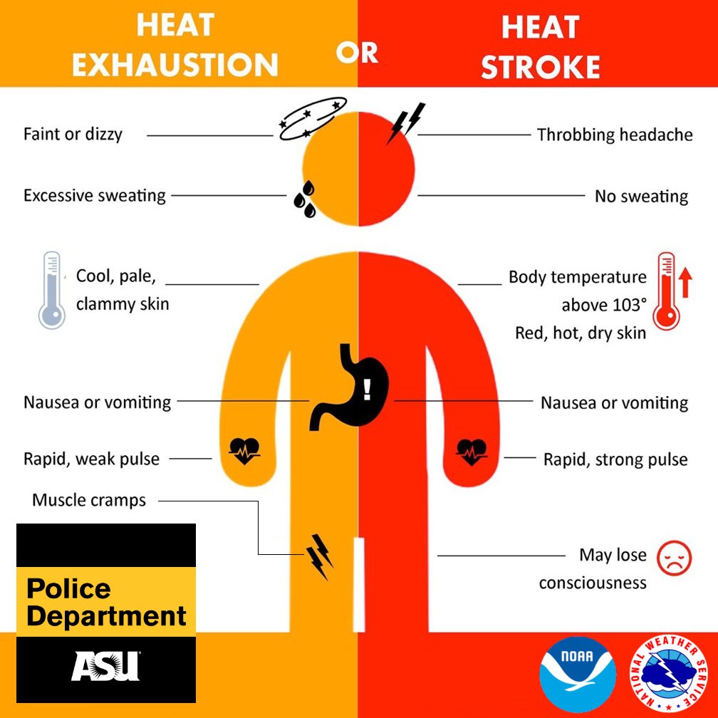 ASUPolice's tweet photo. With temps projected to be the hottest of the week, be on the lookout for symptoms of heat related illnesses...

Know the signs of heat exhaustion and heat stroke, and take the proper precautions to stay cool and hydrated throughout the summer!
#HeatSafety #ASUPolice 🔱🚔 https://t.co/uPEKJcR1UZ