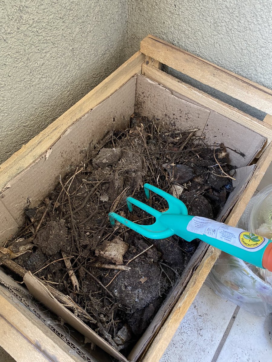 mireyaxsantiago's tweet image. El 27 de junio inicié mi pequeña compostera en mi balcón. Hoy comienzo a ver su avance. Es increíble cómo la naturaleza convierte todo en energía. 🍃🍂🍃🍂🌱🌱#CambioClimatico #AccionClimatica #Compostera #BarriosSustentables #EcoBarrios
