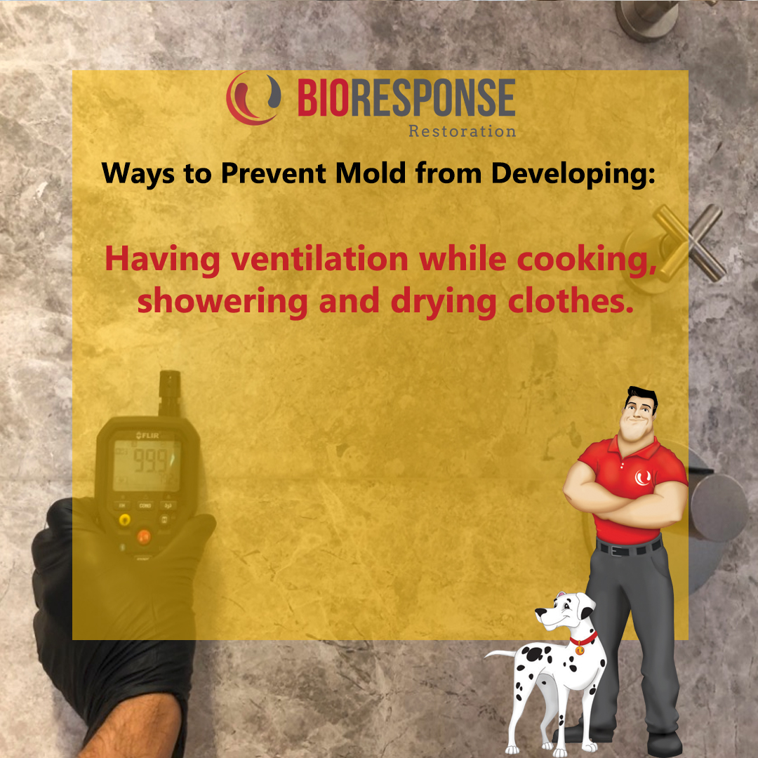 BioResponseCorp's tweet photo. Here are some ways to prevent mold from developing (Part 1) #Mold #MoldGrowth https://t.co/l5BNEUKAkf