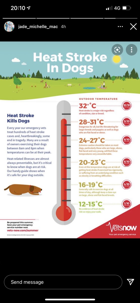 GameRiot's tweet photo. Please look after your dogs 😬 https://t.co/9EEduRjSoe