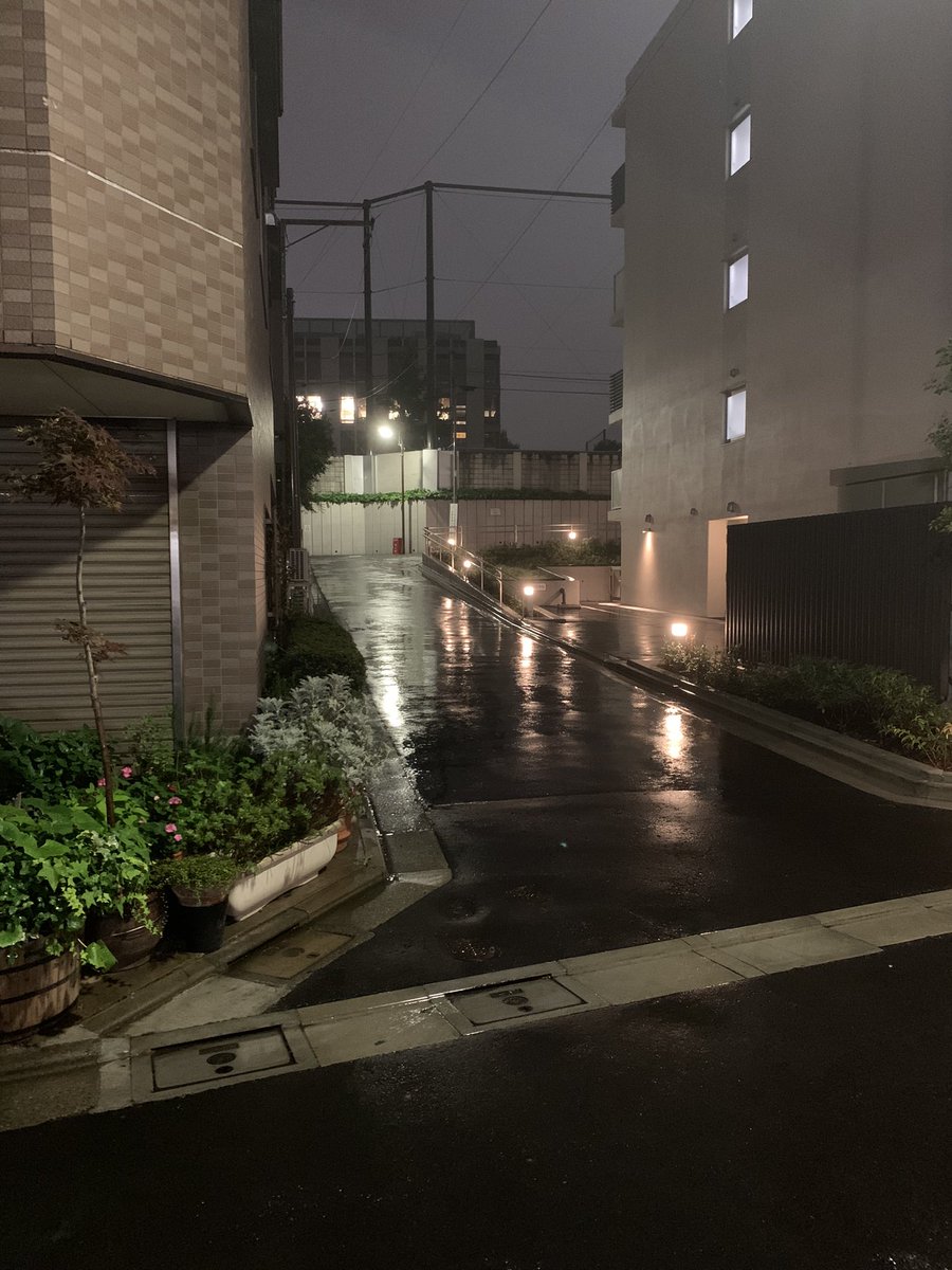 幽竹Rika tweet media