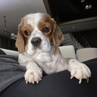 #YeniProfilResmi
