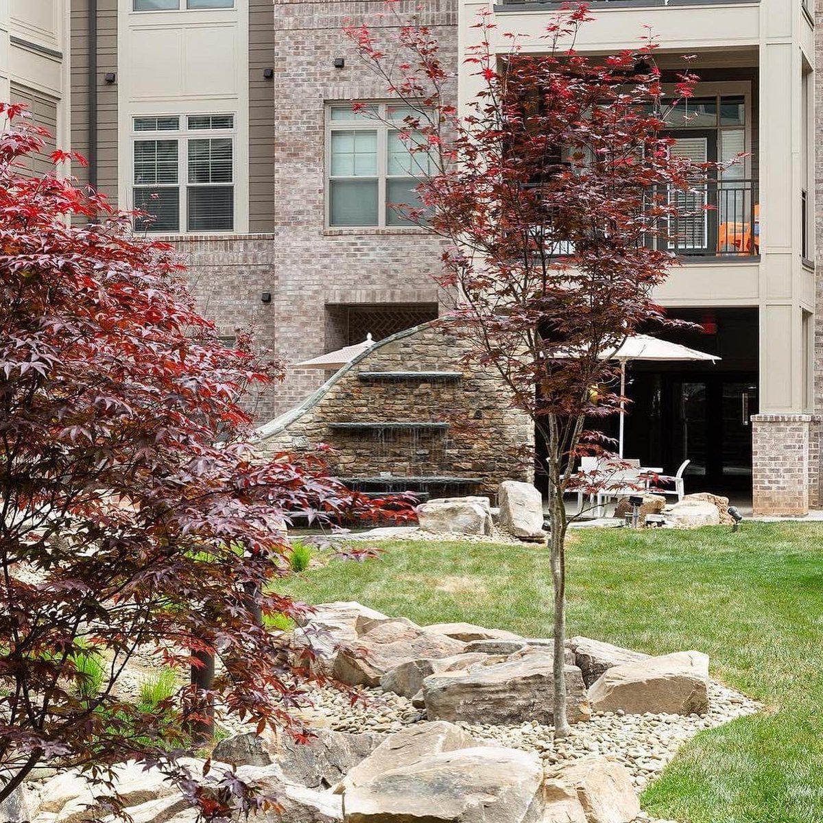 Providence Row tweet media