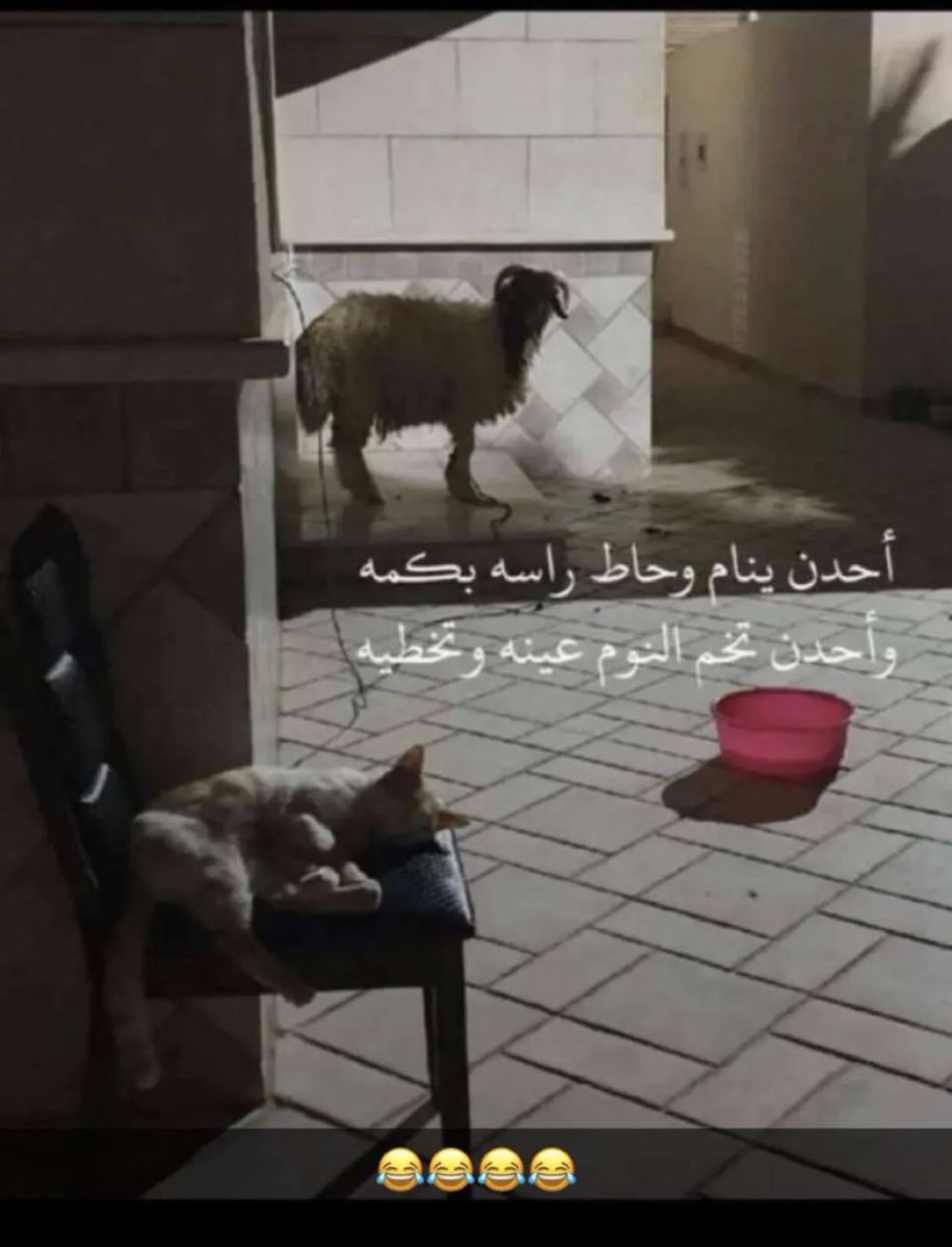 كل عام وانتم بالف خير #عيد_اضحي_مبارك