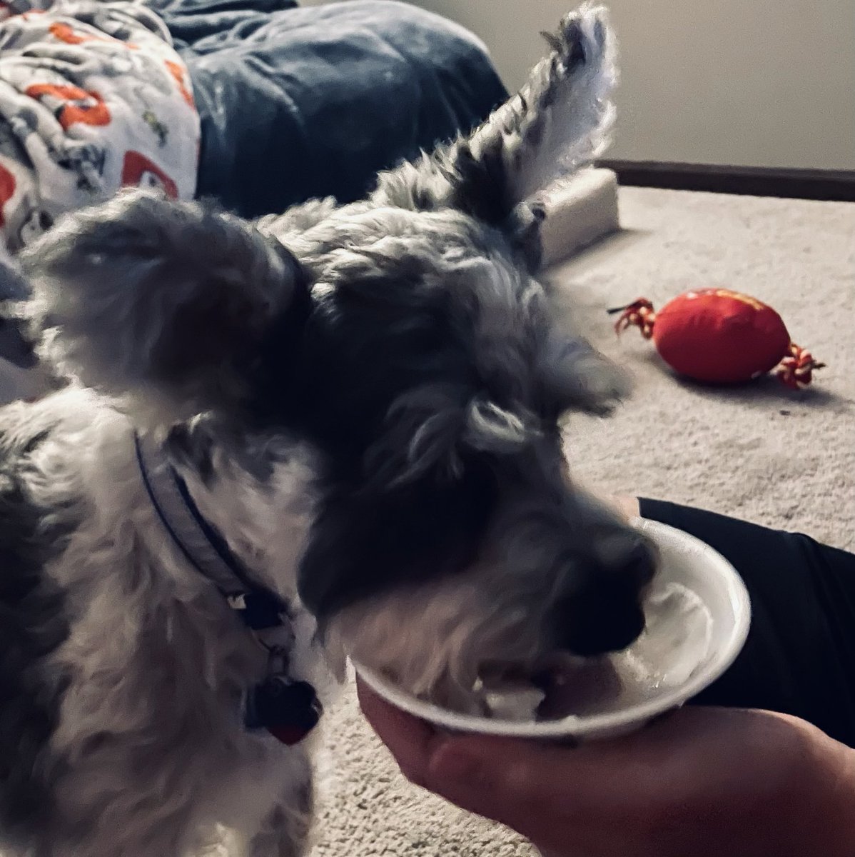 Count Gunther VM tweet media