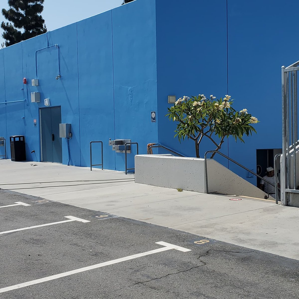 Advanced Learning Academy- SAUSD (@alawolfpride) on Twitter photo Summer moves are a go! Our new ALA campus located at 408 E. Santa Clara Ave. just got a fresh coat of paint both inside and out! This week we're starting to unpack and plan to share more photos later this week! <a href="/SantaAnaUSD/">Santa Ana USD</a> #ALAWolfPride #GoWolves #SAUSD Summer moves are a go! Our new ALA campus located at 408 E. Santa Clara Ave. just got a fresh coat of paint both inside and out! This week we're starting to unpack and plan to share more photos later this week! <a href="/SantaAnaUSD/">Santa Ana USD</a> #ALAWolfPride #GoWolves #SAUSD
