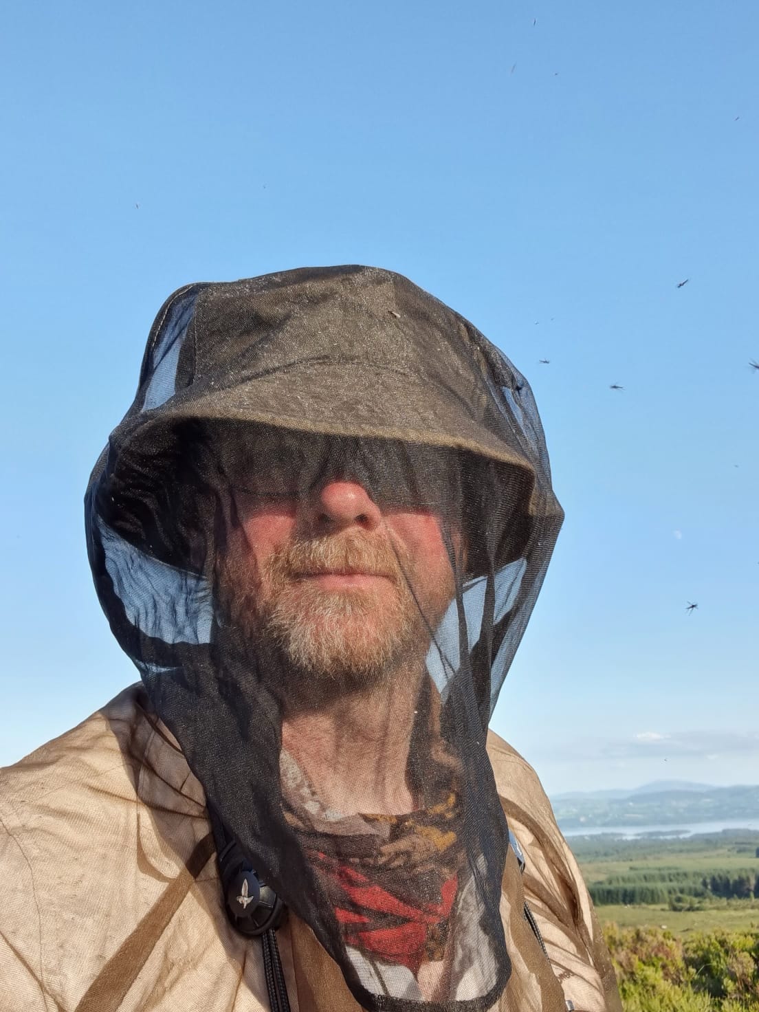 Hen Harrier Project Henharrierproj Twitter