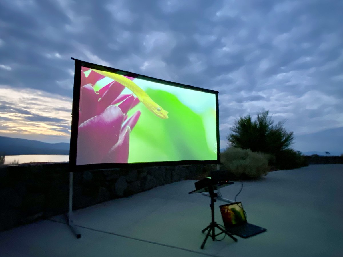 Ultra Short-Throw Portable #EliteProjector and #Elite_Screens Outdoor Projection System

•••••••••••••••••
EliteProjector.com