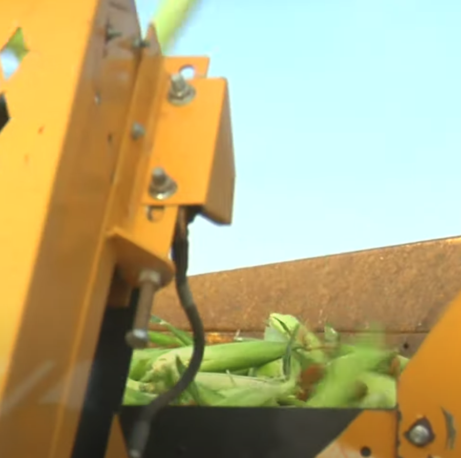 dMASS_ net tweet media