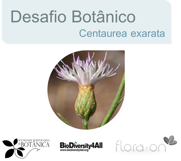 SPBotânica - LVF tweet media