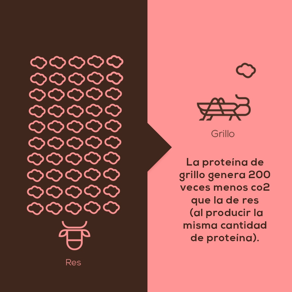 BeCrickets's tweet photo. En BeCrickets diseñamos una proteína tan buena para ti como para el medio ambiente. 

¿Sabías que producir la misma cantidad de proteína de grillo que de proteína de res se emiten 200 veces menos gases de efecto invernadero? Así es, una proteína ligera para ti y para el planeta. https://t.co/vAXrrHcmXD