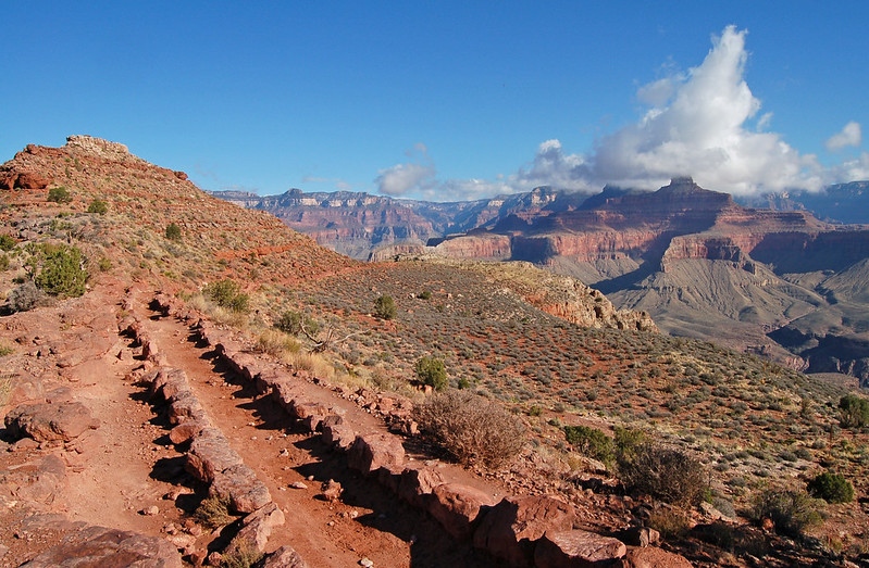 GCConservancy's tweet photo. Looking for more ways to experience Grand Canyon from home? Join us for a virtual hike to Phantom Ranch or a virtual raft trip down the Colorado River! https://t.co/8rfc1K3jCG

📸: Grand Canyon NPS https://t.co/smDa5WkKkS