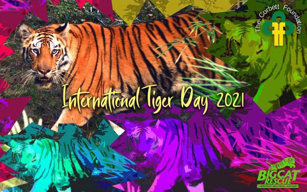 THESE ITEMS ONLY AVAILABLE FOR A LIMITED TIME:
For International Tiger Day on July 29th

https://t.co/jZDal27GaI

This year with your help our fundraising goal is to raise $10,000 for the Corbett Foundation to build fences around wells to protect wildlife

https://t.co/FvTKS7FEMT https://t.co/rG6uVgxVtu