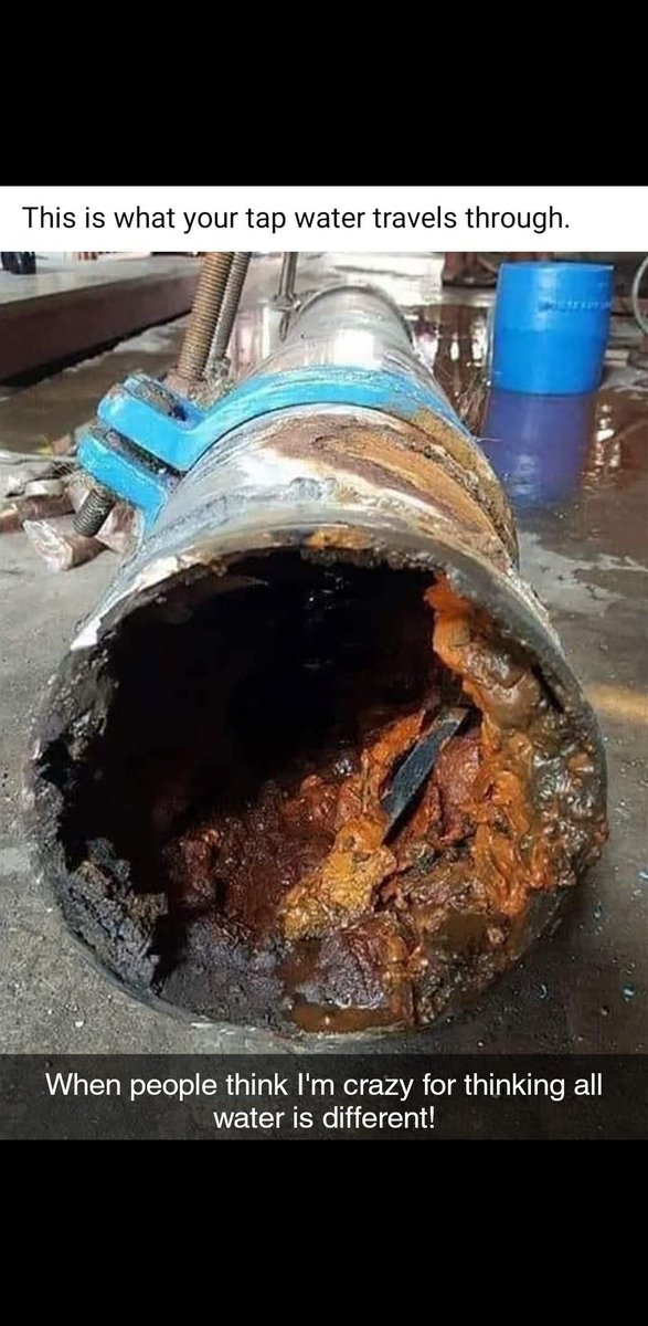 TrueSense-FE tweet media