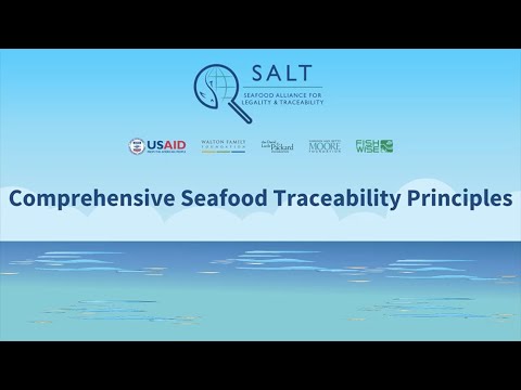 SALTtrace's tweet photo. Last month, we presented the #TraceabilityPrinciples to representatives from 21 countries at the @FAO #BluePorts workshop๐ Curious to learn more? Stay tuned on our Twitter this week to catch up on some of the essential concepts in creating a comprehensive traceability program! https://t.co/1ZTfk3oycR