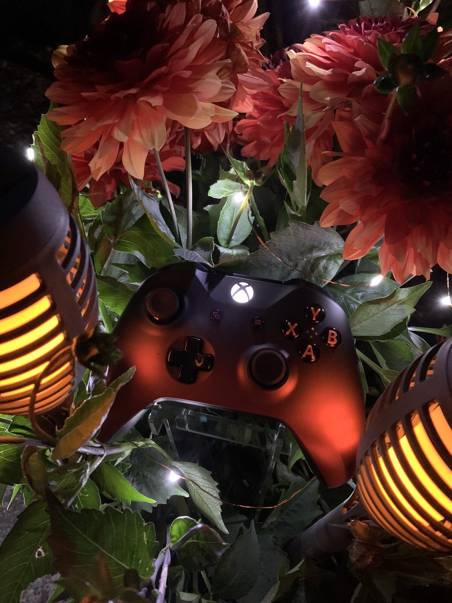 JustMeeVicky's tweet photo. Late night Volcano Shadow photo shots 🧡
#Xbox #Xbox20 #VolcanoShadow @bex_bomb @itsCharleyytho @samuelofc @GottaBeHenry @Solice @shieldsjames @SweetMicga @steinekin @Ghstfacehunter @aarongreenberg @joshmunsee @GMaxee @EthanRothamel @cupecakeplays https://t.co/yntHOcfhxs
