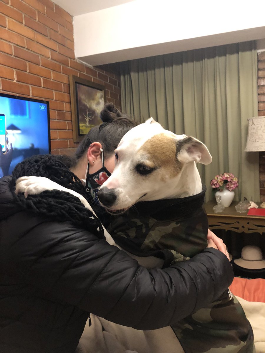 Cuando el amor es verdadero y bonito los perritos también lo abrazan🥰
<a href="/LiliAbadM/">Liliana Abad</a>