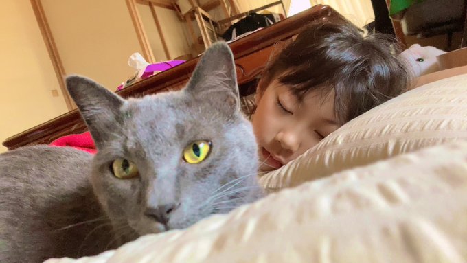 Twitterのコスプレ画像16