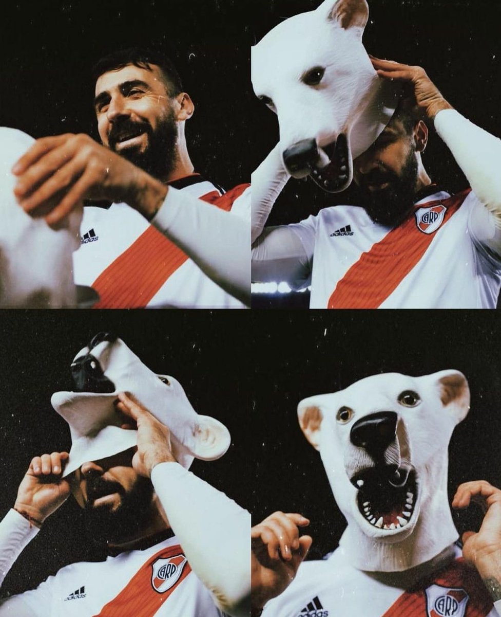 Gracias osito querido. Por siempre en el ❤