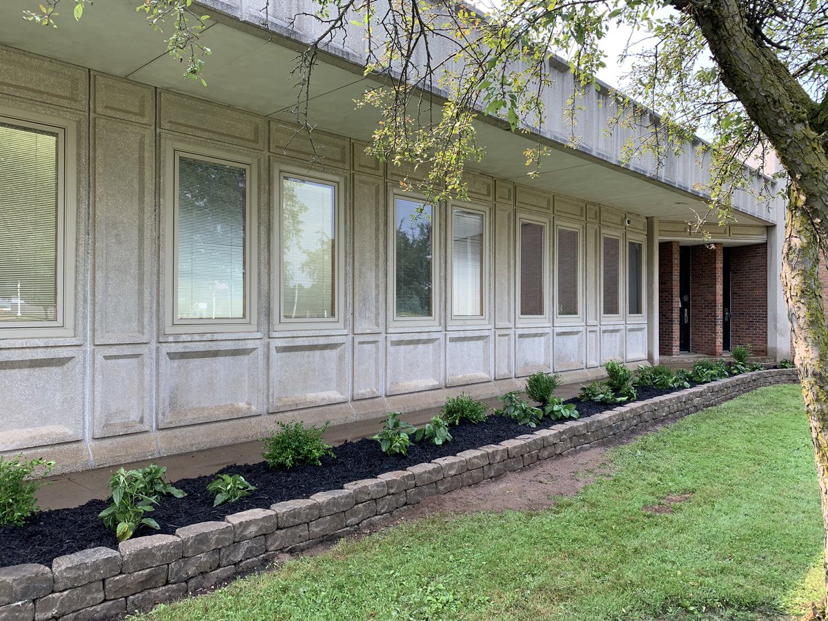 Keaton_EngTeach's tweet photo. @MVHSKeyClub has once again made MVHS better. ❤️❤️❤️ All by hand, they moved a pallet of mulch (twice), moved a dump truck of top soil, dug 105 holes for plants, and mulched! They are ROCKSTARS! @Jsan0900 @mrC_MVHS @MVCSD_Supt https://t.co/f9Vsw35m6T