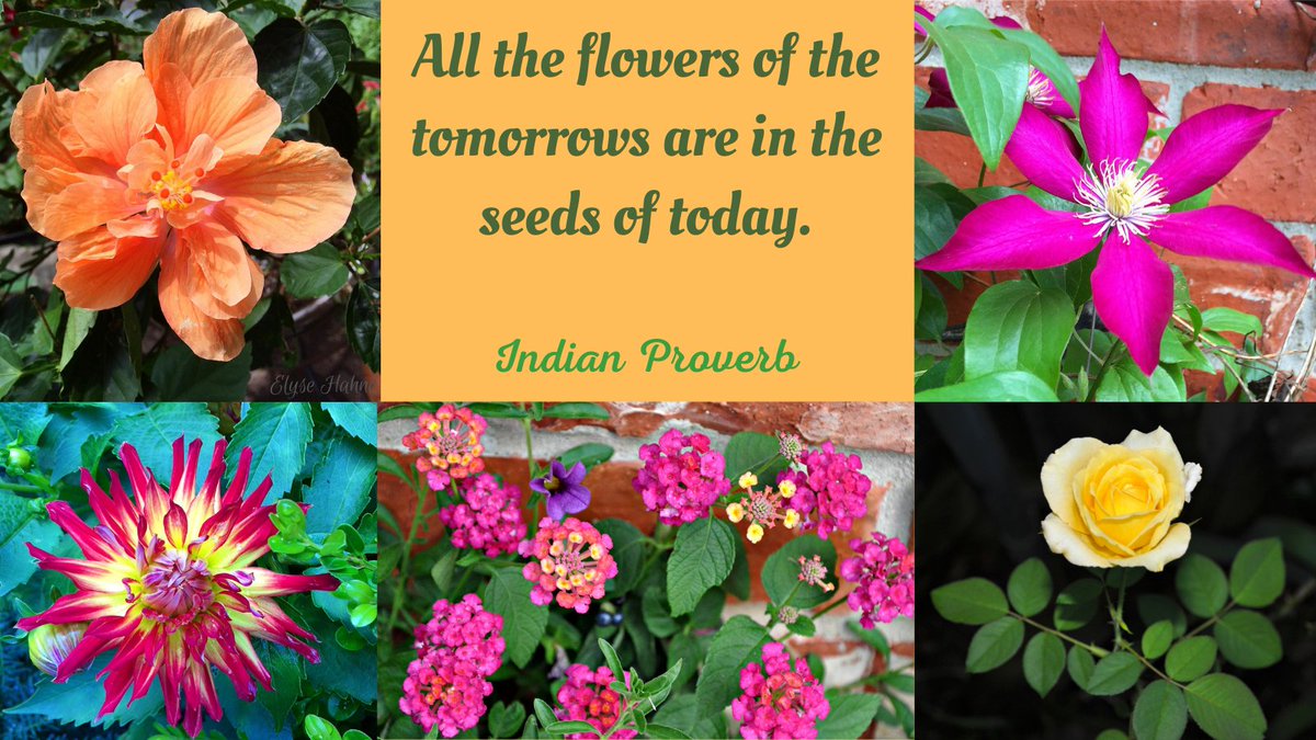 #Trendthepositive #CelebrateMonday Nature is all around us. Will you see the beautiful things that grace our earth around you? #bloomadayshare @snordenWSUproud @R_CILR @ElizRussellEdu