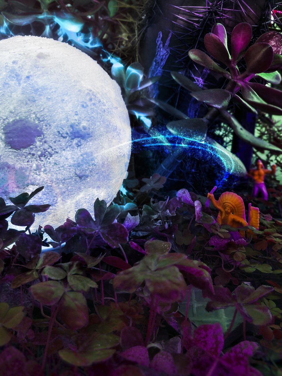 ab_visual's tweet photo. First job in H=N. 
@hicetnunc2000 @onhicetnunc 
 The return to childhood. games from another moment that are becoming possible today. Never lose that, the creation of new micro worlds that are around.

Moon in Jungle
https://t.co/oTZqoPFvSa
#hicetnunc2000 #hicetnunc #NFTartists https://t.co/OCGspvGw02
