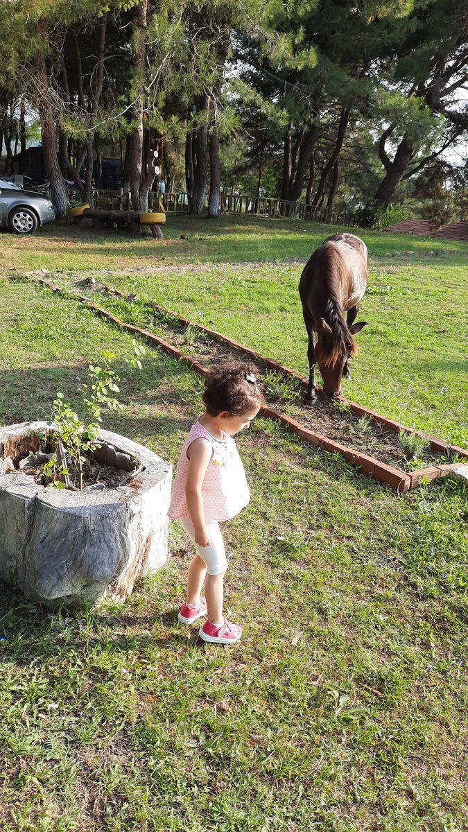 dilekserhan's tweet photo. #amasra https://t.co/PcGqZPYCyE