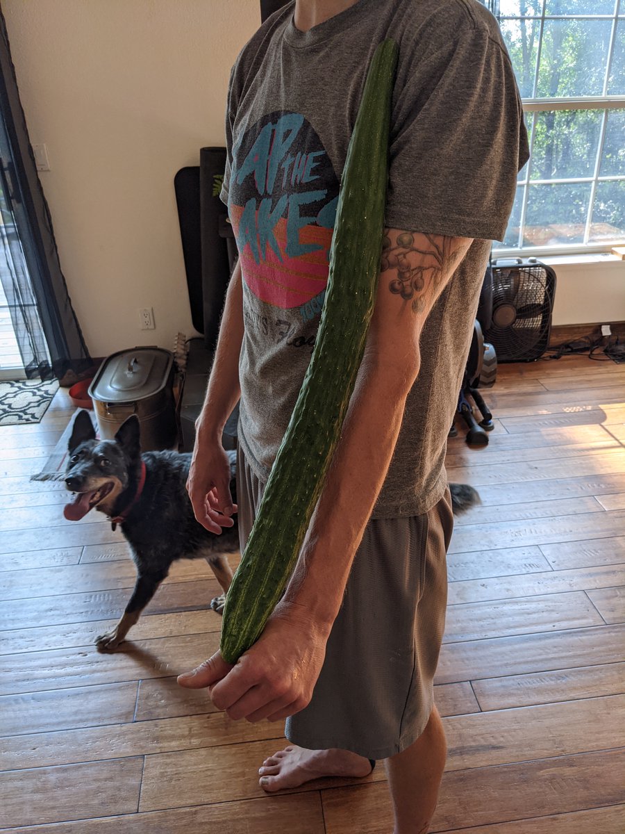 DarrenRebar's tweet photo. When will the @NSF fund my alt-research program? Truly delicious results https://t.co/vCU3IYl6C7