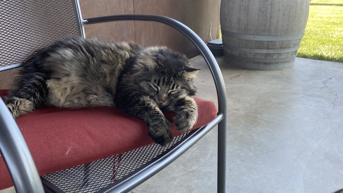 m2 Wines tweet media