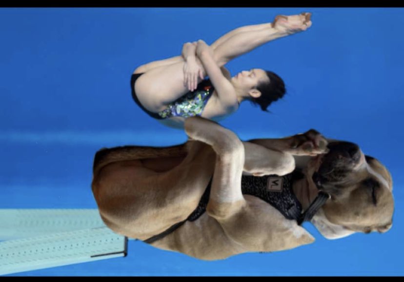 Jon (dabo swinney sucks) Evans tweet media