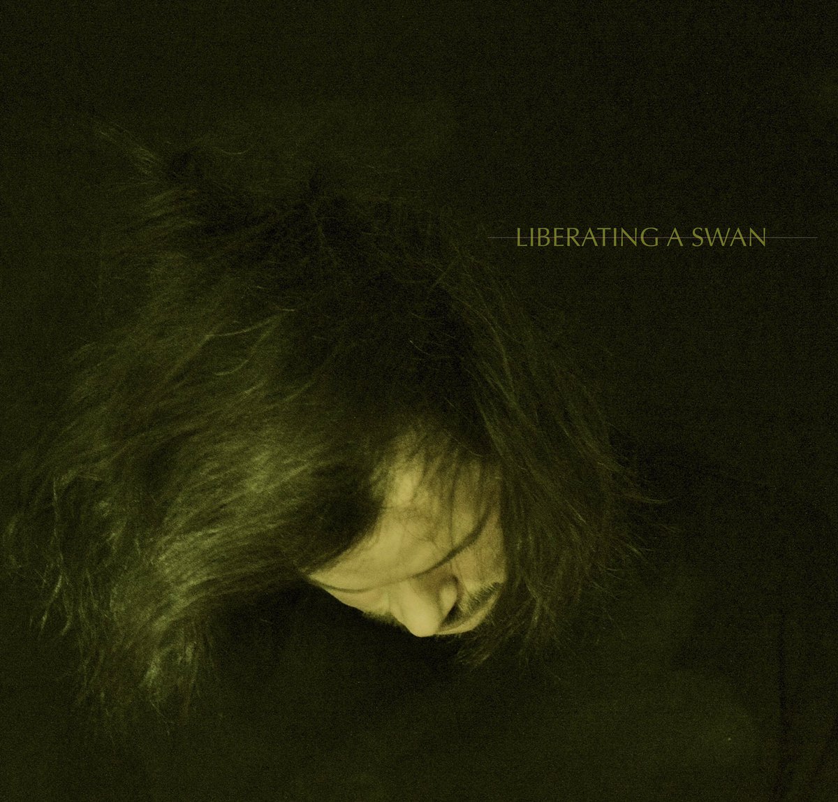 Dan here!!  My debut solo album Colonizor “liberating a swan” drops this Friday!!  Nervously happy and it features some performances by Lee and B too. Stoked. Check it on all streaming platforms or grab it and support at bandcamp.