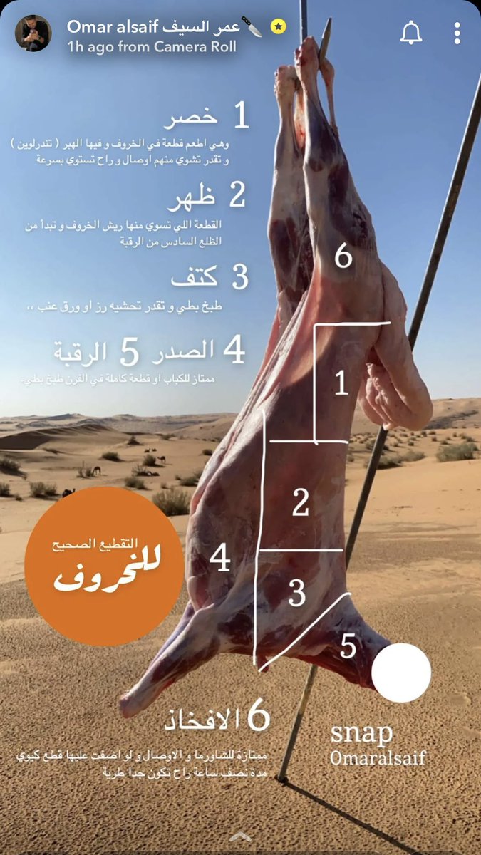 عالم الشواء و المدخن (@bckyrdbbq2) on Twitter photo المختصر المفيد مع عمر السيف لقطعيات الخروف.
🐑
تقسيم كافي ووافي وواضح لكل قطعه وافضل استخدام لها 😋
<a href="/omaralsaif3/">OmarAlsaif</a> المختصر المفيد مع عمر السيف لقطعيات الخروف.
🐑
تقسيم كافي ووافي وواضح لكل قطعه وافضل استخدام لها 😋
<a href="/omaralsaif3/">OmarAlsaif</a>
