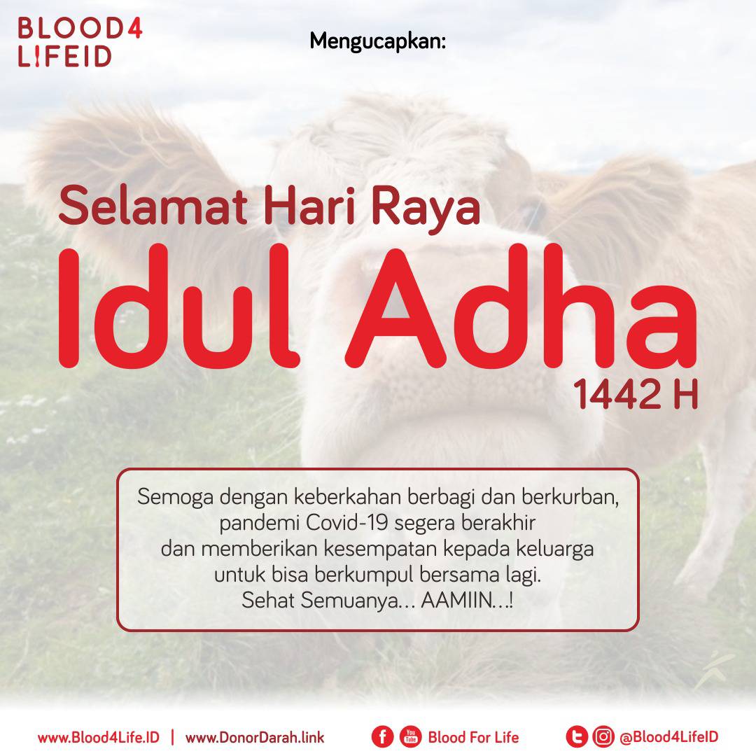 Selamat Merayakan Idul Adha 
buat kakak yang merayakan
Mohon Maaf Lahir &amp; Batin Semuanya 🙏