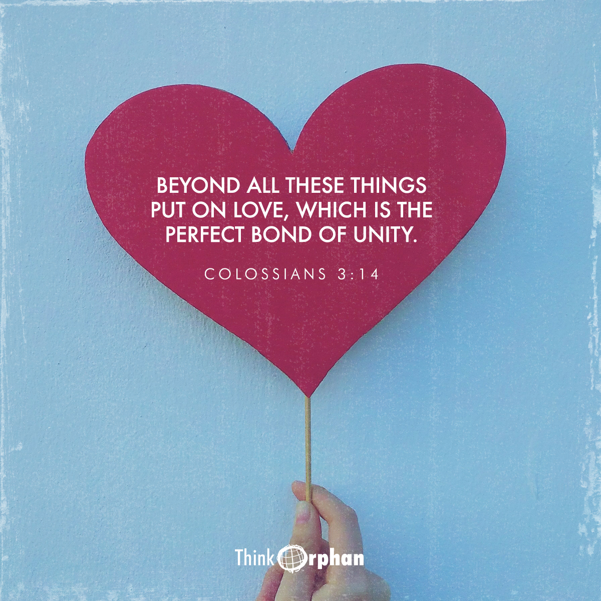 ThinkOrphan's tweet image. 